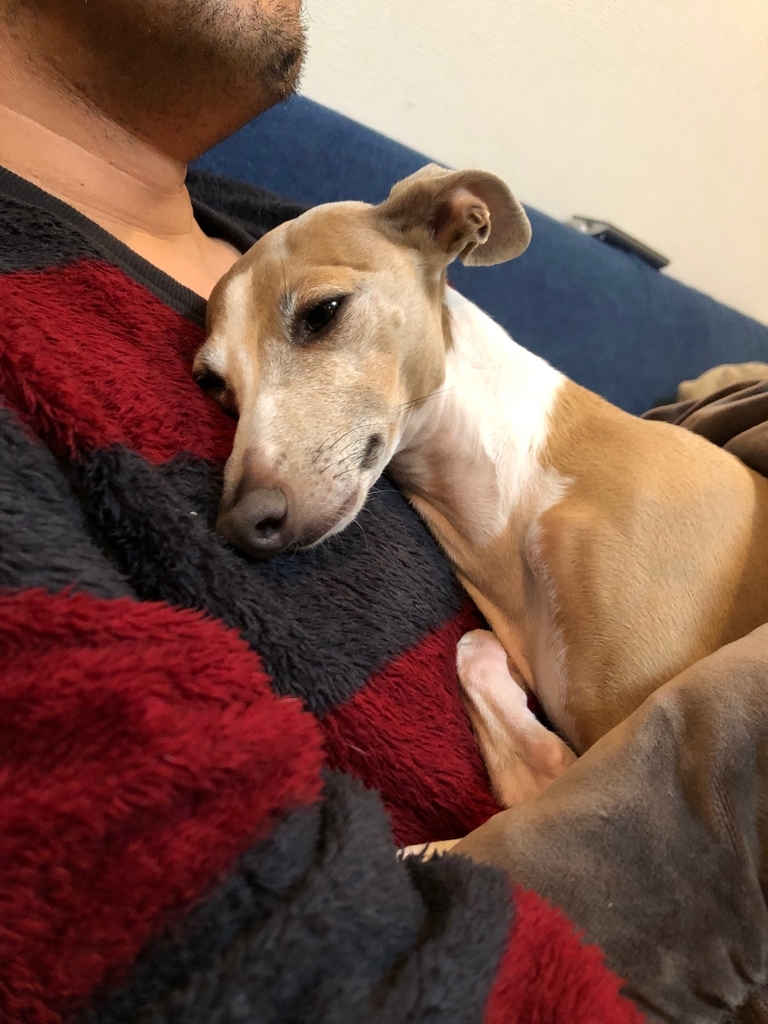 f:id:gino-ig:20190114213411j:plain