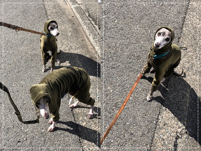 f:id:gino-ig:20190210001823j:plain