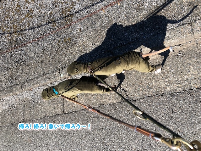 f:id:gino-ig:20190210002043j:plain