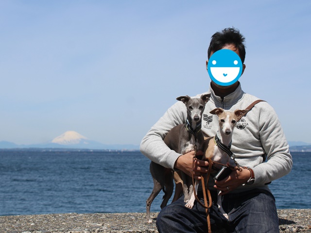 f:id:gino-ig:20190517232206j:plain f:id:gino-ig:20190517232206j:plain