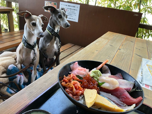 f:id:gino-ig:20190517232411j:plain f:id:gino-ig:20190517232411j:plain