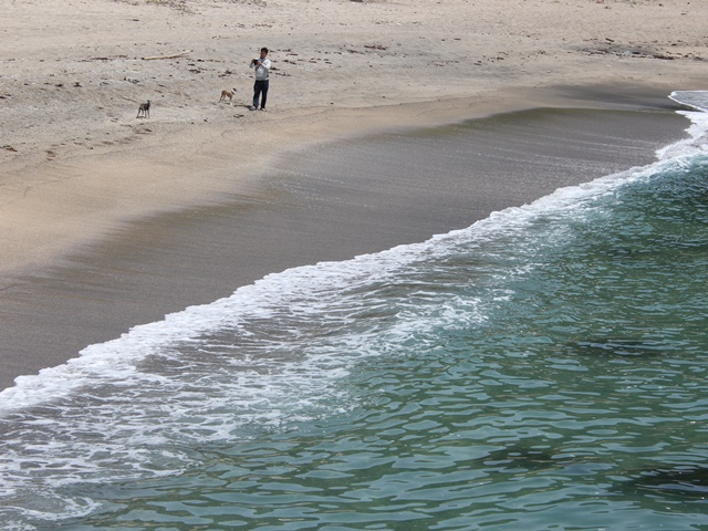 f:id:gino-ig:20190517234807j:plain f:id:gino-ig:20190517234807j:plain