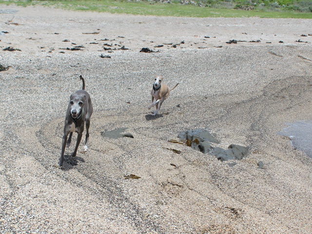 f:id:gino-ig:20190517234948j:plain f:id:gino-ig:20190517234948j:plain