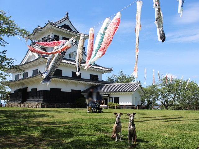 f:id:gino-ig:20190518235605j:plain