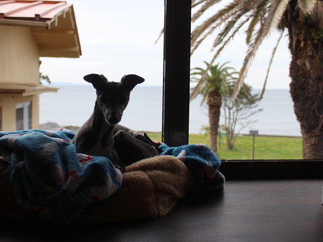 f:id:gino-ig:20190519000957j:plain