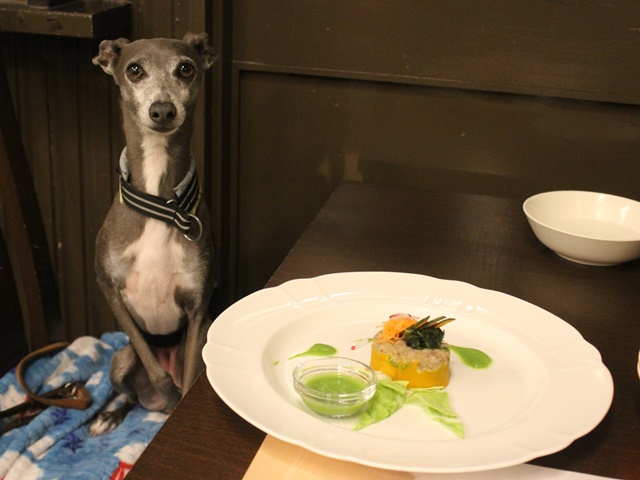 f:id:gino-ig:20190519001854j:plain