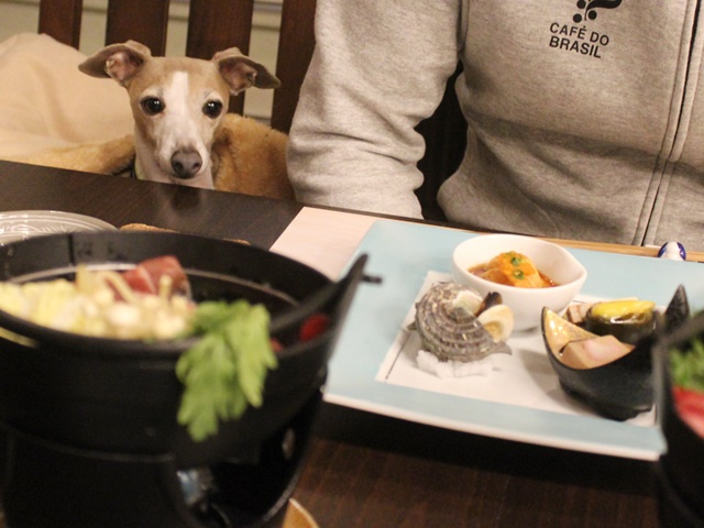 f:id:gino-ig:20190519001956j:plain