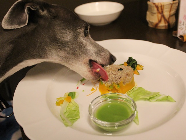 f:id:gino-ig:20190519002942j:plain