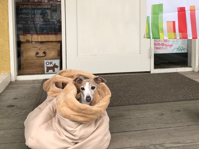 f:id:gino-ig:20190520235745j:plain