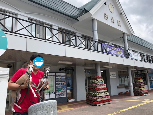f:id:gino-ig:20190715215629j:plain