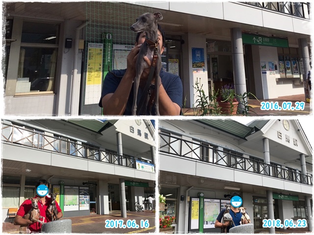 f:id:gino-ig:20190715215739j:plain