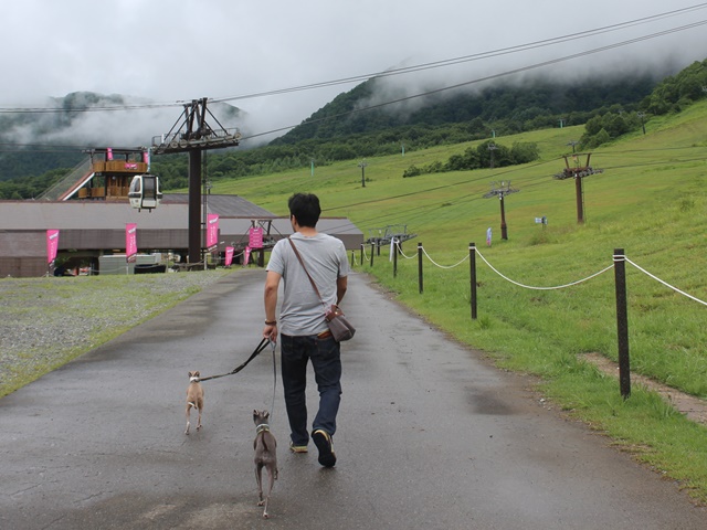 f:id:gino-ig:20190724000734j:plain