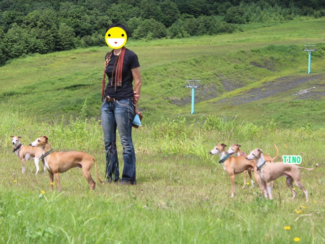 f:id:gino-ig:20190724001616j:plain