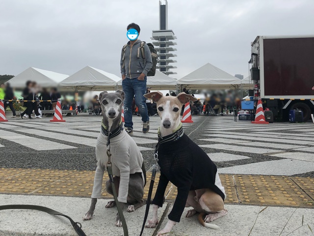 f:id:gino-ig:20191027233347j:plain