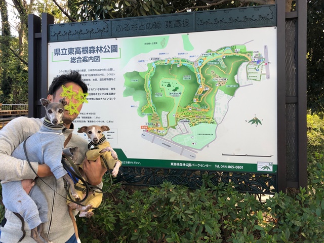 f:id:gino-ig:20191118000158j:plain