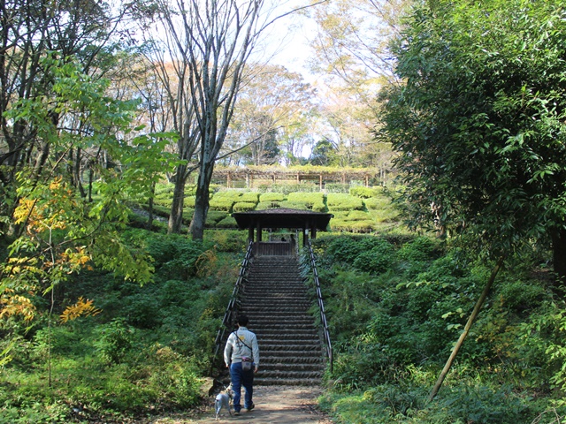 f:id:gino-ig:20191118000617j:plain