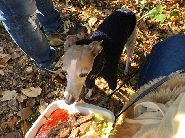 f:id:gino-ig:20191204235735j:plain