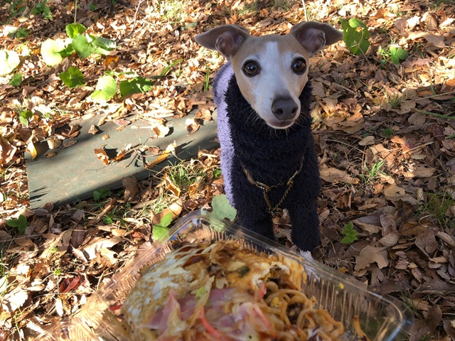 f:id:gino-ig:20191204235935j:plain