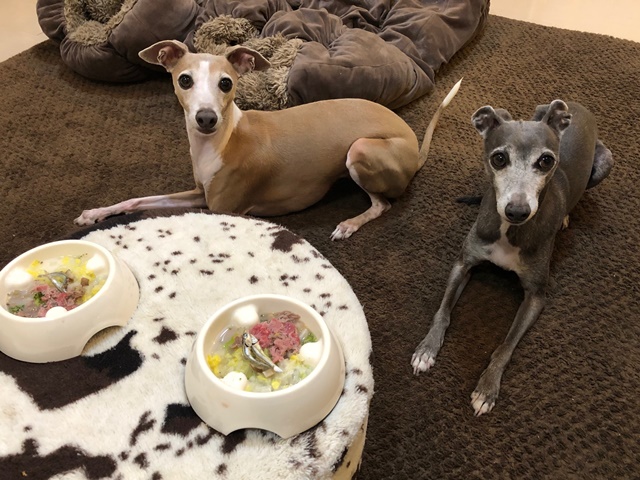 f:id:gino-ig:20191207000957j:plain f:id:gino-ig:20191207000957j:plain