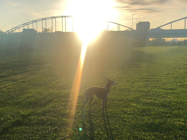 f:id:gino-ig:20200905230553j:plain