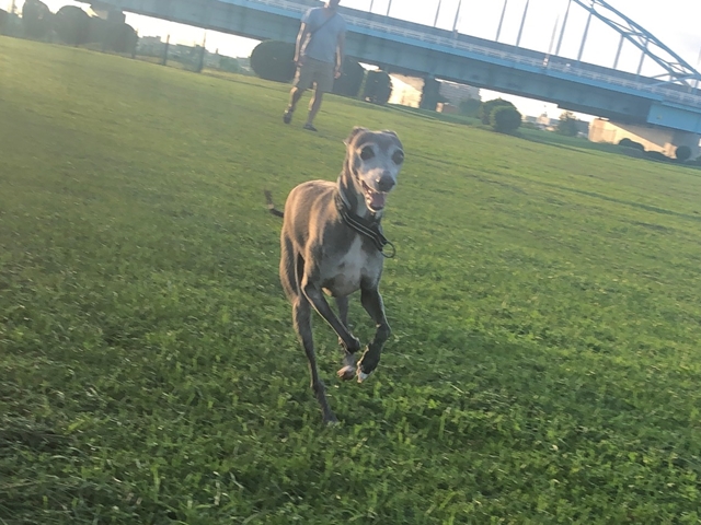 f:id:gino-ig:20200905230845j:plain