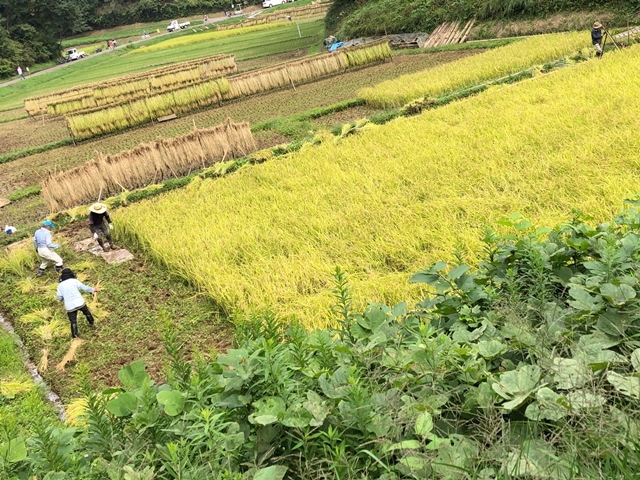 f:id:gino-ig:20201006002051j:plain f:id:gino-ig:20201006002051j:plain