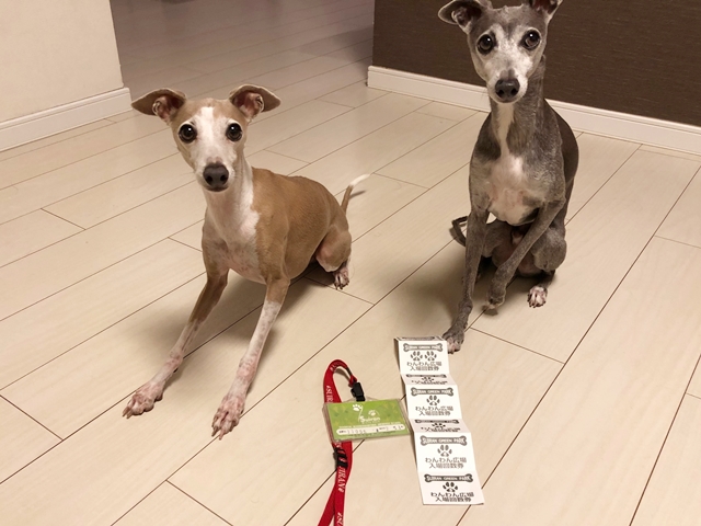 f:id:gino-ig:20210710231844j:plain