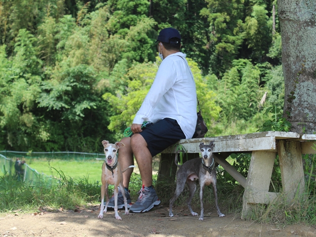 f:id:gino-ig:20210710234256j:plain