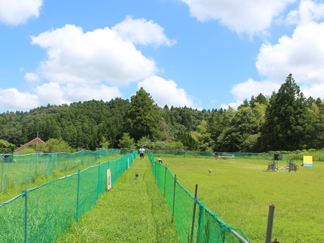 f:id:gino-ig:20210718232930j:plain