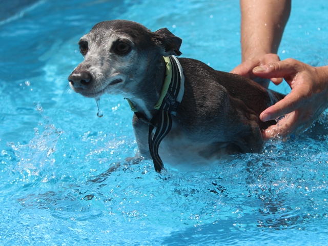 f:id:gino-ig:20210718233255j:plain