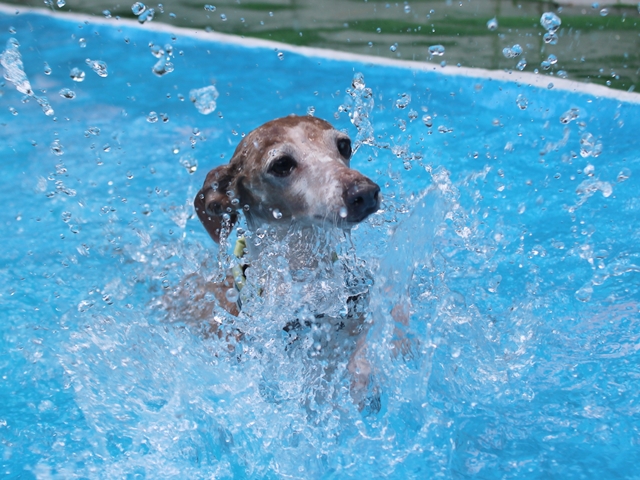 f:id:gino-ig:20210718233534j:plain