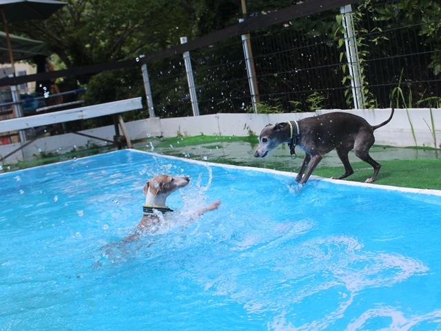 f:id:gino-ig:20210718233625j:plain