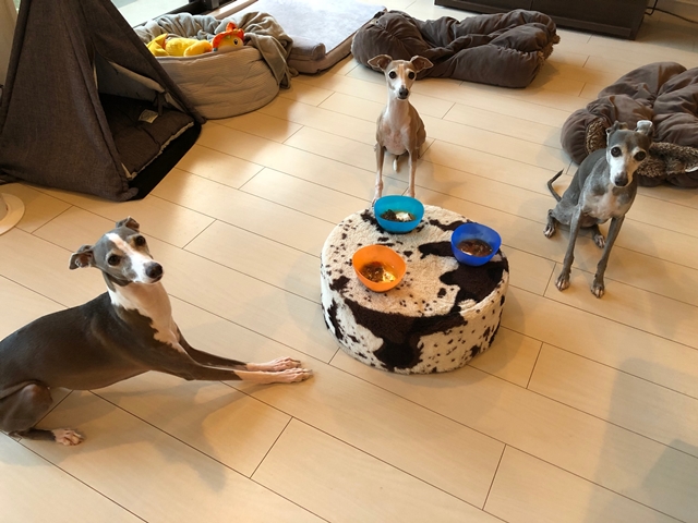 f:id:gino-ig:20210730001922j:plain