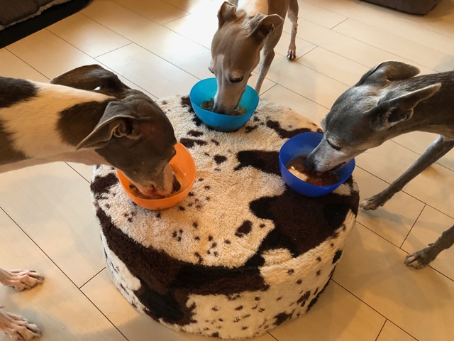 f:id:gino-ig:20210730001955j:plain