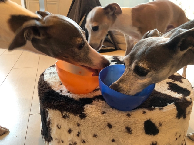 f:id:gino-ig:20210730002046j:plain