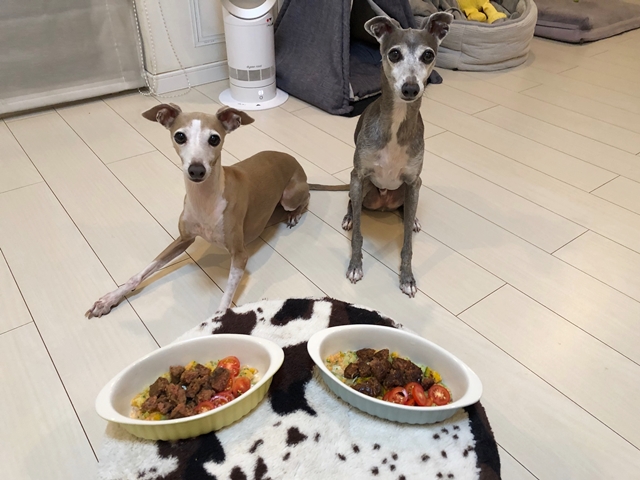 f:id:gino-ig:20210801000950j:plain