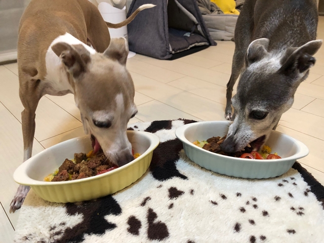 f:id:gino-ig:20210801001054j:plain