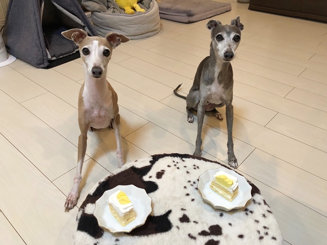 f:id:gino-ig:20210801003024j:plain