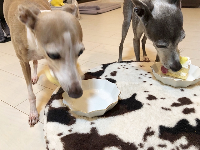 f:id:gino-ig:20210801003319j:plain