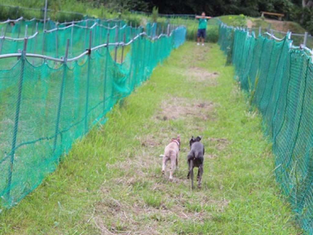 f:id:gino-ig:20210820230030j:plain