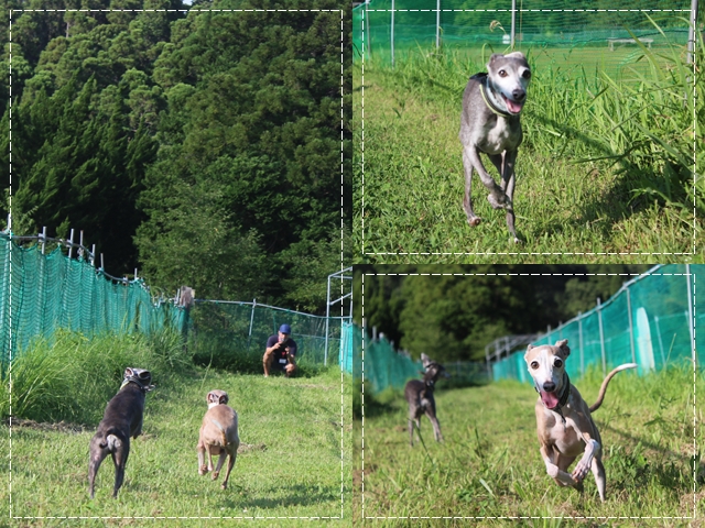 f:id:gino-ig:20210820230458j:plain