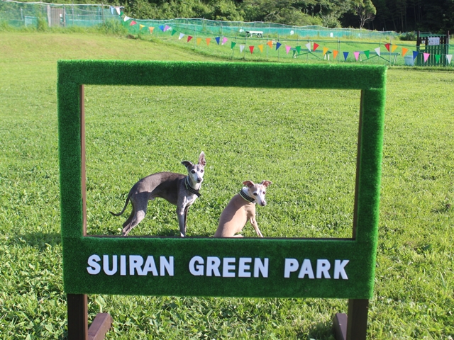 f:id:gino-ig:20210820234827j:plain