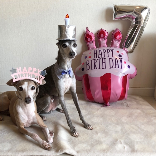 f:id:gino-ig:20211008234116j:plain