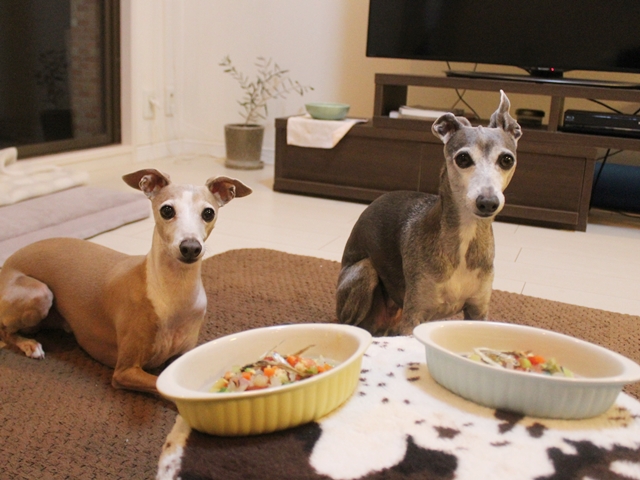 f:id:gino-ig:20211211001818j:plain