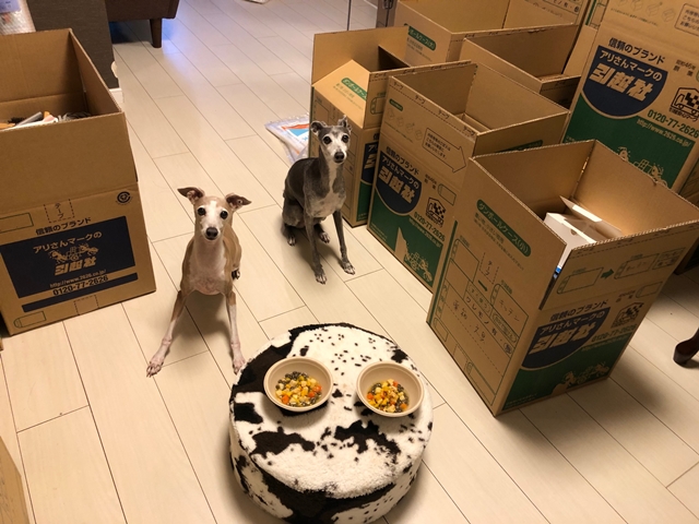 f:id:gino-ig:20211224234435j:plain