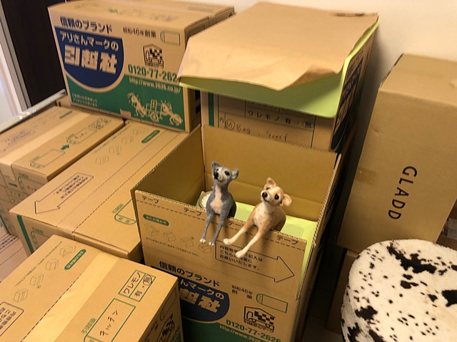 f:id:gino-ig:20211224234555j:plain