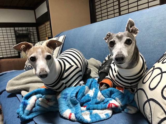 f:id:gino-ig:20211226000241j:plain