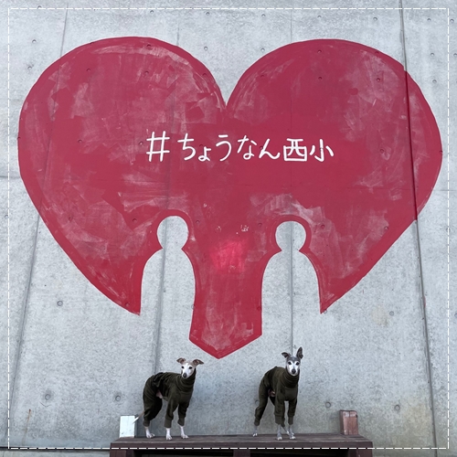 f:id:gino-ig:20220115232422j:plain