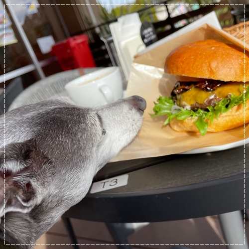 f:id:gino-ig:20220115232710j:plain