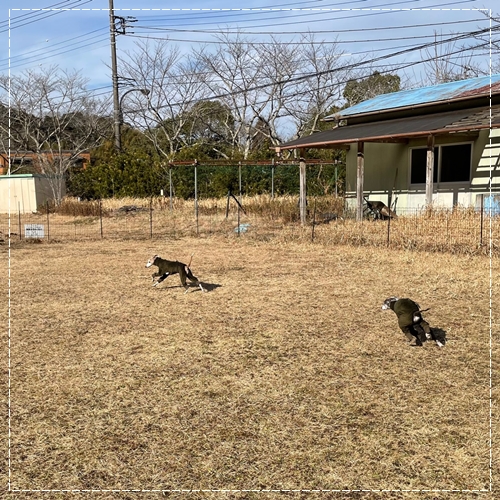 f:id:gino-ig:20220115232811j:plain